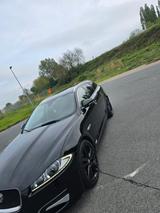 Jaguar XF 3.0 L V6 Diesel Sportbrake  - Jaguar XF: 3.0