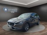 Mazda CX-30 2.0 SKYACTIV-X Selection 2WD NAVI*BOSE*360 - Mazda CX-30 in Hamburg