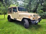 Jeep Wrangler YJ Sahara 4,2L - Jeep Wrangler in Oberhausen