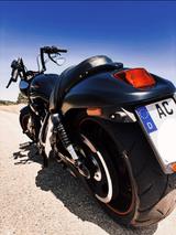 Harley-Davidson Night Rod Special - Angebote