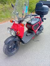 Honda Zoomer 25km/h Ruckus Kultroller - Top Zustand - HONDA ZOOMER