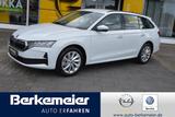 Skoda Octavia Combi 1.5 TSI mHEV Selection Kamera / SH - Skoda Octavia Tageszulassungen