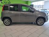 Fiat Panda 1.2 8V Lounge+KLIMA+BLUETOOTH+SHZ - Fiat: Pand