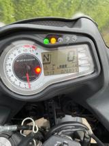 Suzuki V- Storm 650 getönte Blinker - SUZUKI 650