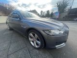Jaguar XF Pure*AUTOMATIK*TÜV-NEU- - Jaguar XF aus 2017
