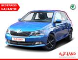 Skoda Fabia 1.2 TSI Joy Klimaaut. Navi Sitzheizung PDC - Skoda Gebrauchtwagen in Dresden