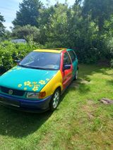 Volkswagen VW Polo Harlekin - Volkswagen Polo: Harlekin