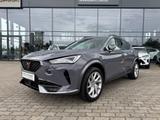 Cupra Formentor 1.5 TSI Navi, Rückfahrkamera, Tot-Wink - Cupra Gebrauchtwagen in Berlin