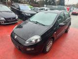 Fiat Punto Evo 1.3 Multijet - Fiat Punto Gebrauchtwagen