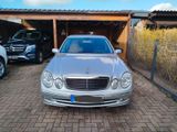 Mercedes-Benz E 270 CDI AVANTGARDE Avantgarde - Mercedes-Benz E 270: Cdi