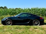 Porsche Cayman S mit super Ausstattung  - gebrauchte Porsche Cayman aus dem Jahr 2014