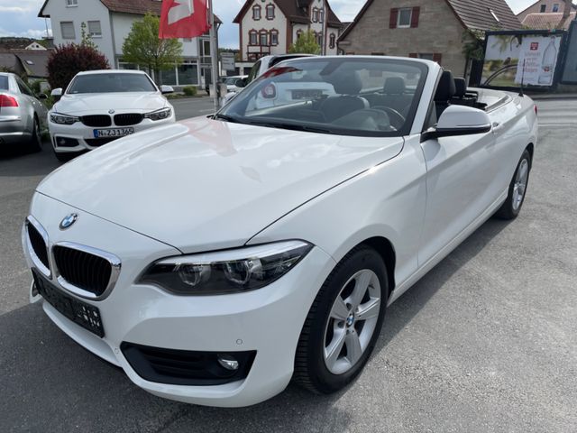 BMW 2 Cabrio 218 i Advantage/1.HAND/LEDER/KAMERA/LED