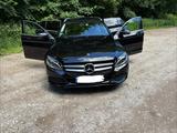 Mercedes-Benz C 180 T Autom. AHK Unfallfrei Nichtraucher - Mercedes-Benz C 180 in Mainz