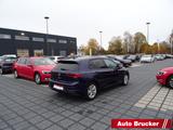 Volkswagen Golf VIII Life 1.5 TSI Navi LED  ACC Sitzheizung - Volkswagen Golf: Vii