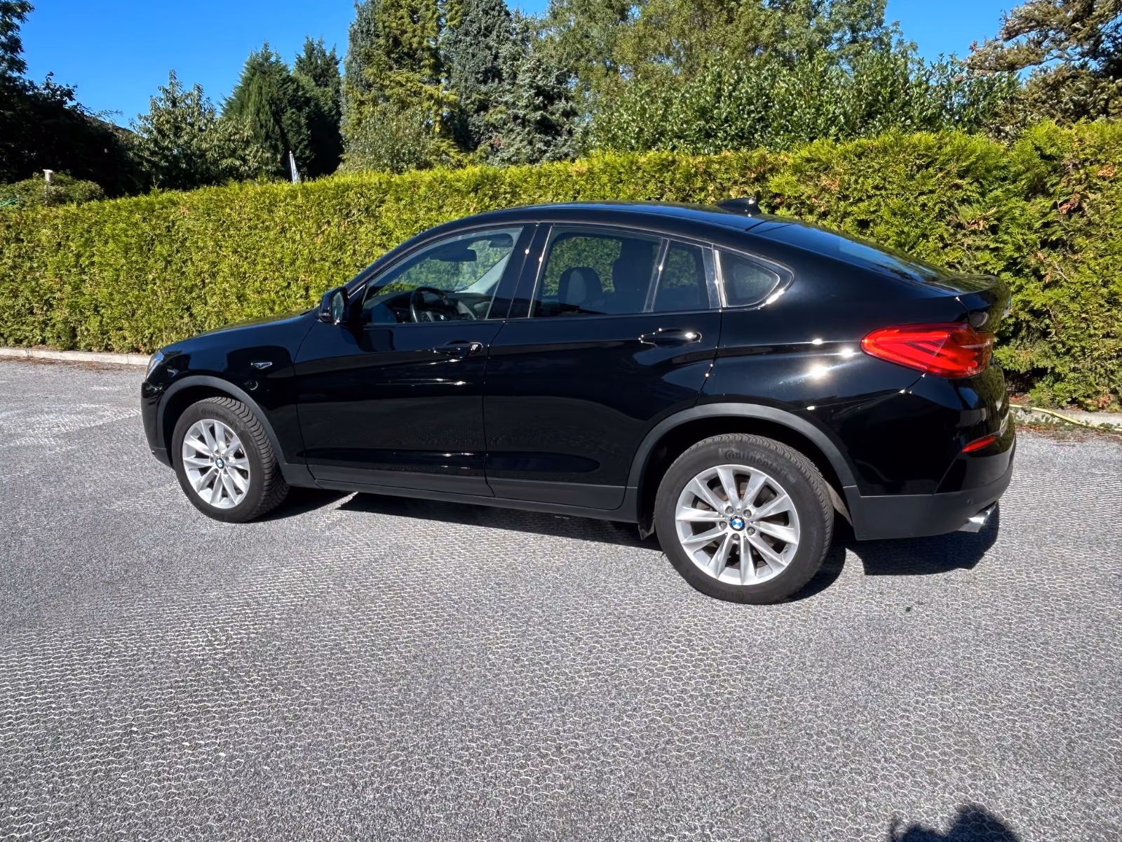 BMW X4 xDrive 30 d Advantage Leder Panorama LED