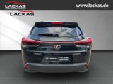 Lexus UX 250h STYLE*FACELIFT*NAVI*CARPLAY*SHZ*LED*GARA - Lexus: Geländewagen