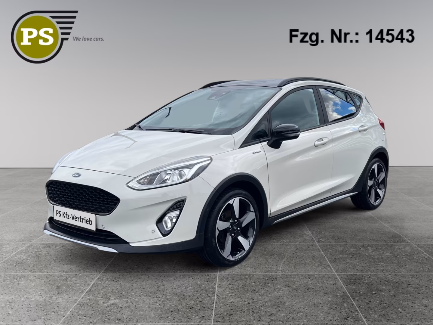 Ford Fiesta 1.0 Ecoboost Active X Hybrid Navi Kamera