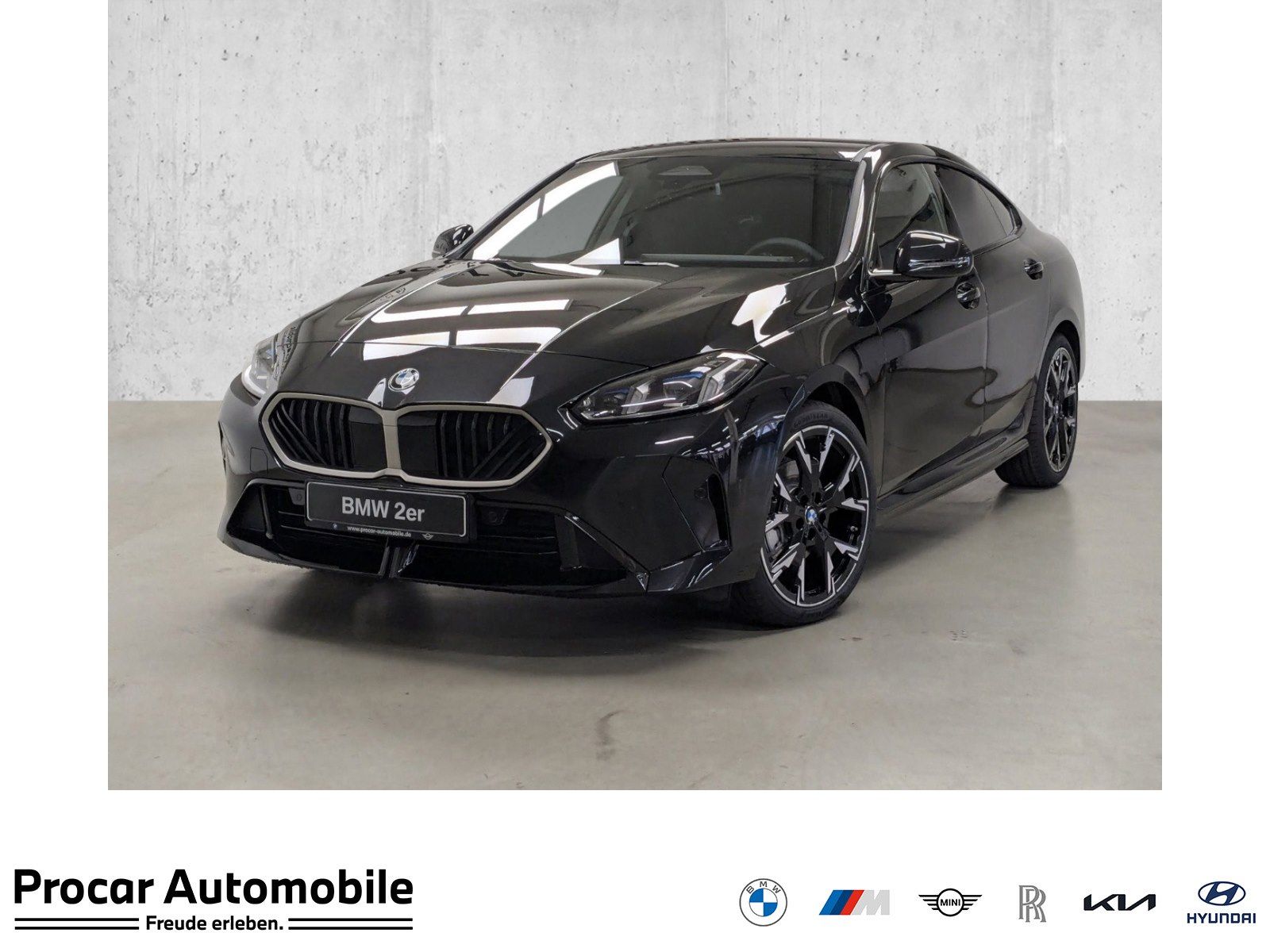 BMW 218d M Sport Driv.Ass. LM19 NAVI LED SHZ