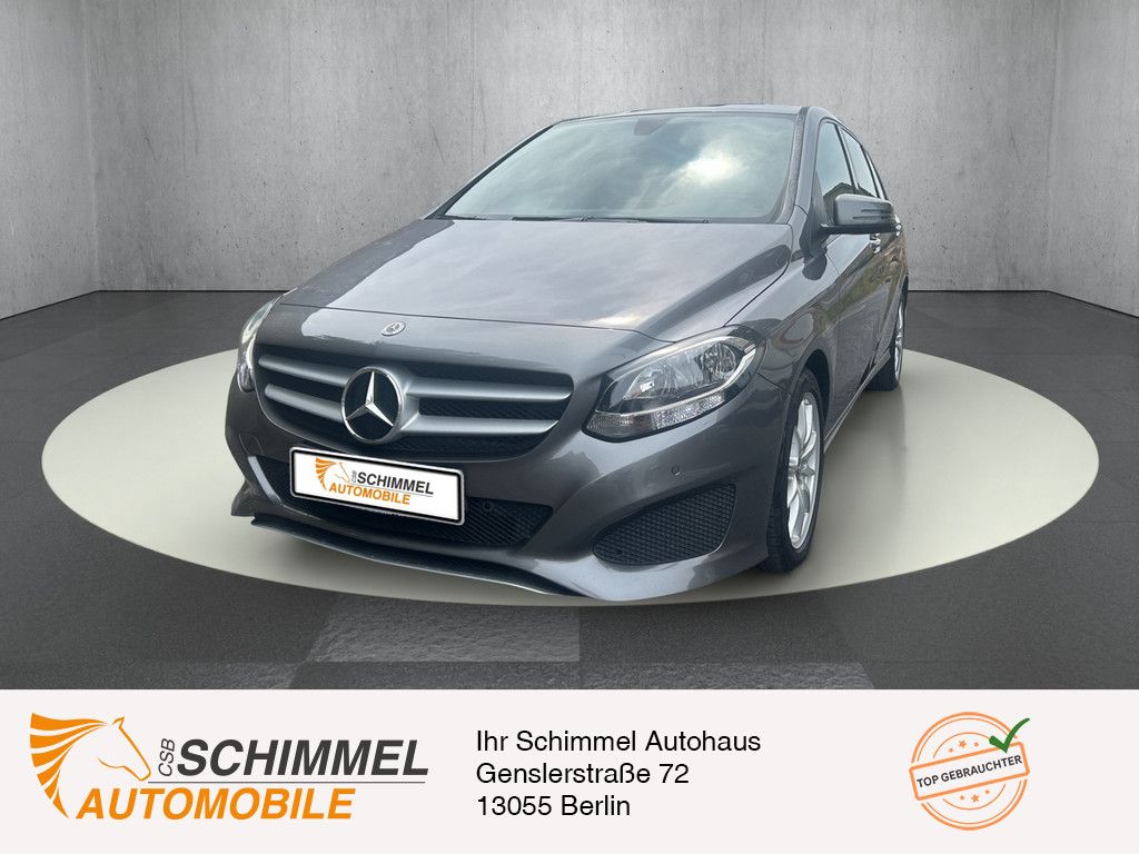 MERCEDES-BENZ B 250 NAVI KAM SHZ FACELIFT PTS LEDER KLIMA