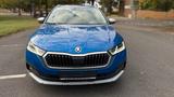 Skoda Octavia  Scout Matrix,HUD,ACC;Panorama, Virtual, - mit Diesel-Antrieb: Alcantara, Panorama-Dach, Kombi