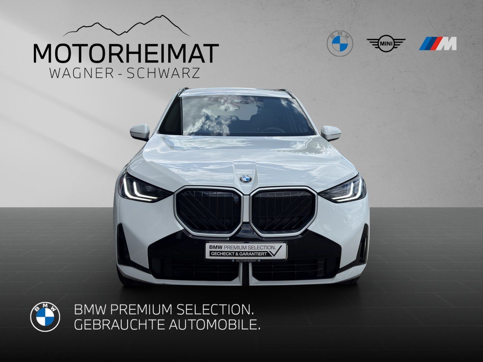 BMW X3 30e xDrive M Sport ACC 360° AHK H&K foto 3