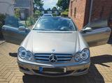 Mercedes-Benz Mercedes Benz CLK Cabrio W209 1.8 Kompressor - : Cabrio, Clk 209