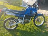 Honda NX 250 Originaler 1. Lack und unverbastelt - HONDA NX 250