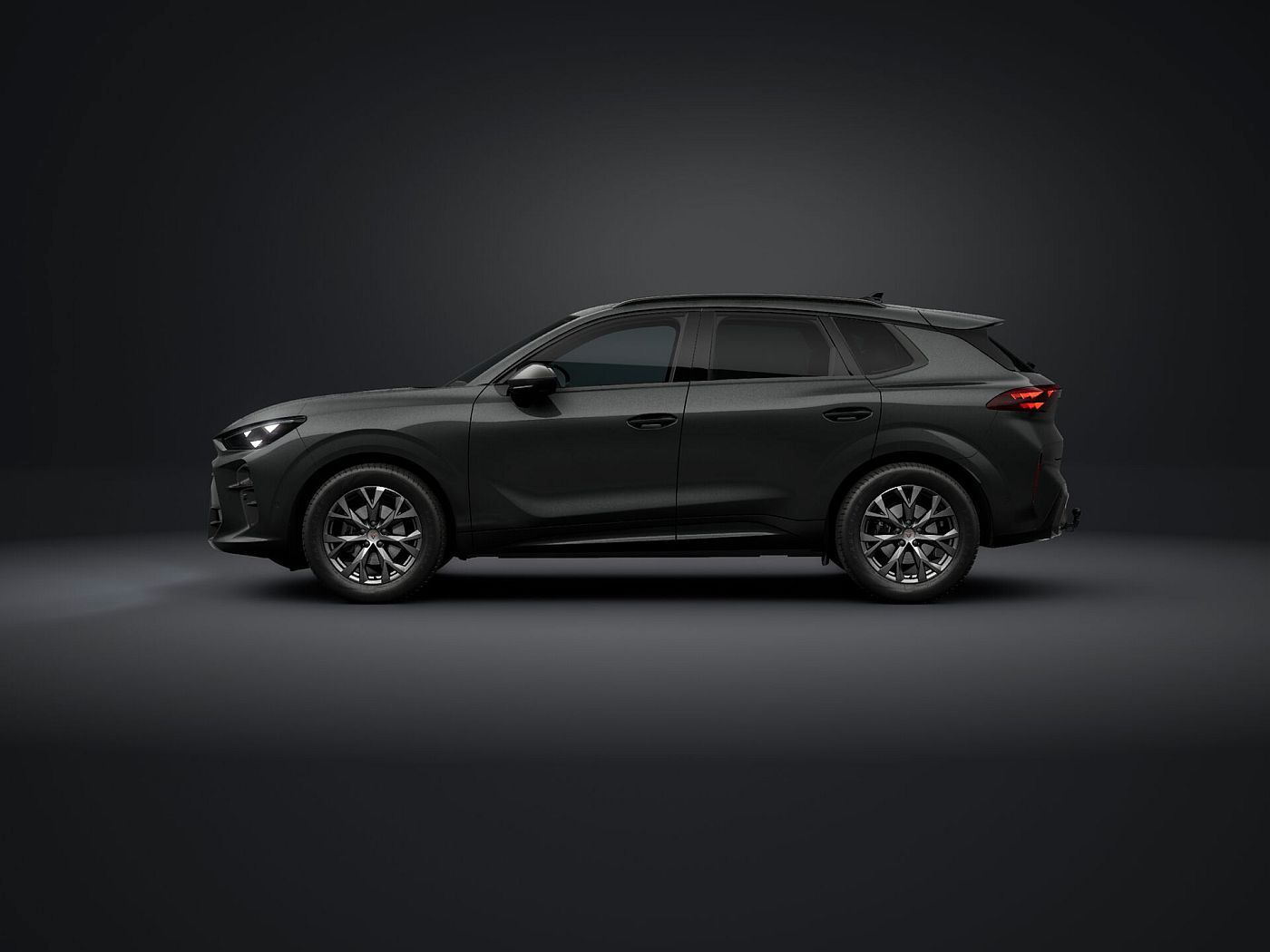 Cupra Terramar - Bild 3
