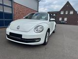 Volkswagen Beetle 1.2 TSI DSG BMT Cabriolet -