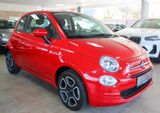 Fiat 500 1.0 Mild-Hybrid Club Klima CarPlay 1.Hand - Fiat 500 in Leverkusen