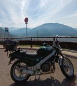 Honda NTV 650 - Offers