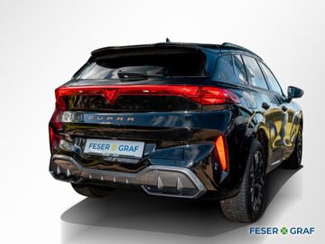 Cupra Terramar - 5