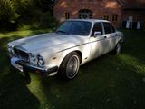 Jaguar XJ12 Daimler - Jaguar Gebrauchtwagen von 1987