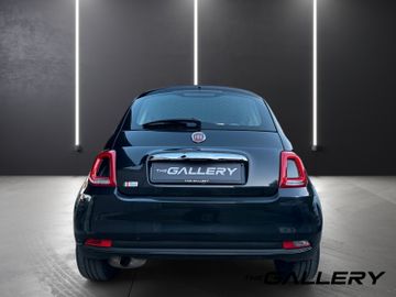 Fiat 500 - 6