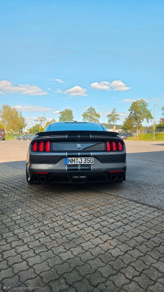 Ford Shelby GT350 | 533 PS | Handschalter | KW V3+