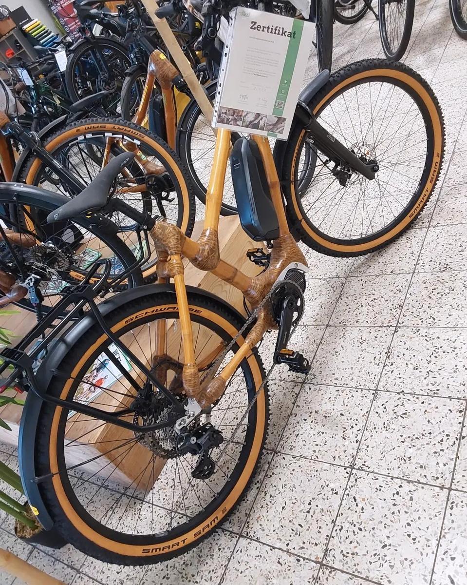 My Boo My Jacobu 2022