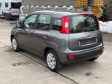 Fiat Panda Easy Klima 63000 KM 1.Hand - Fiat Panda Gebrauchtwagen in Berlin