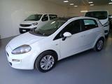 Fiat Punto Punto III 2012 5p 1.2 Lounge - Fiat Punto mit Schiebedach