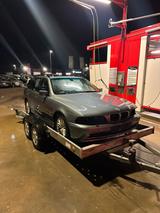 BMW e39 530D Schlachter - BMW 530: Kombi, 530d E39