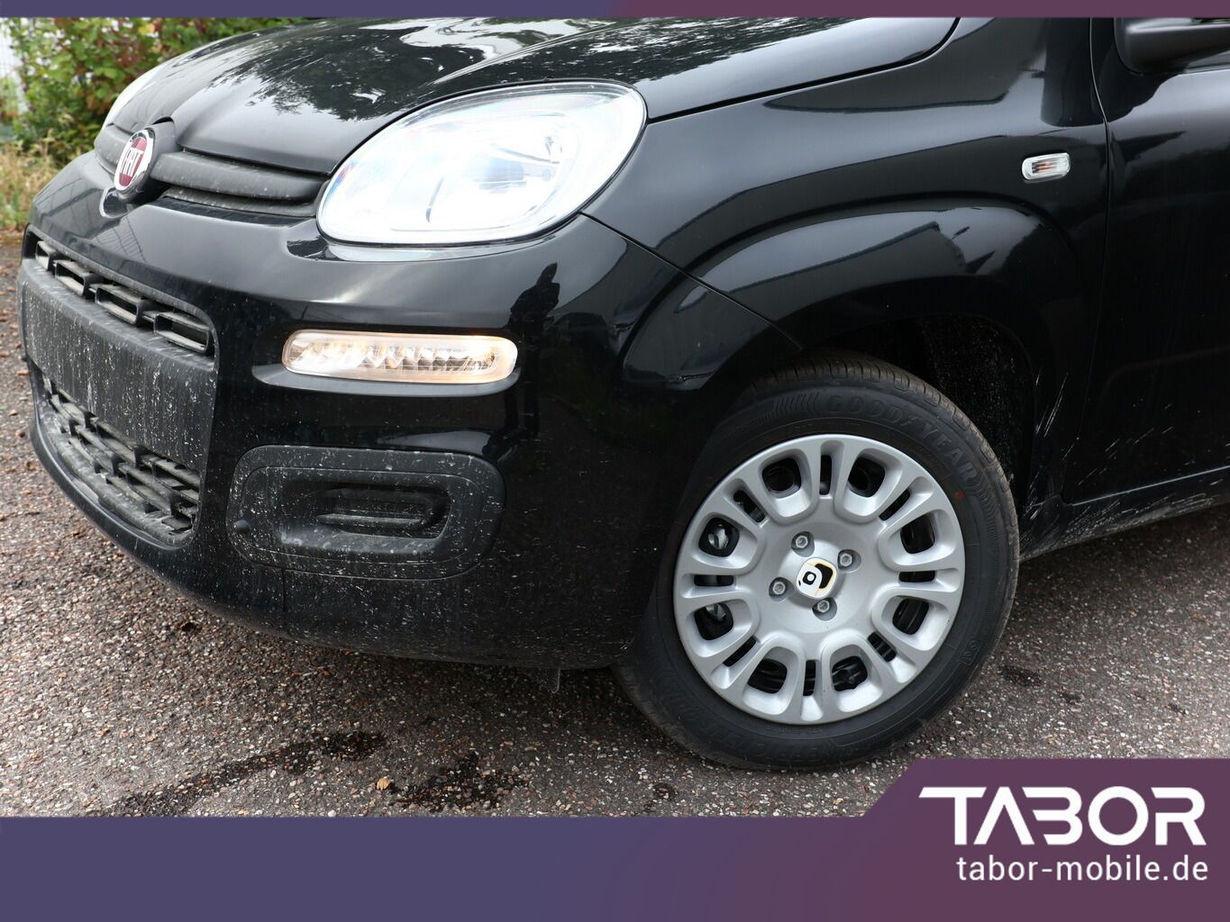 Fiat Panda - Bild 5