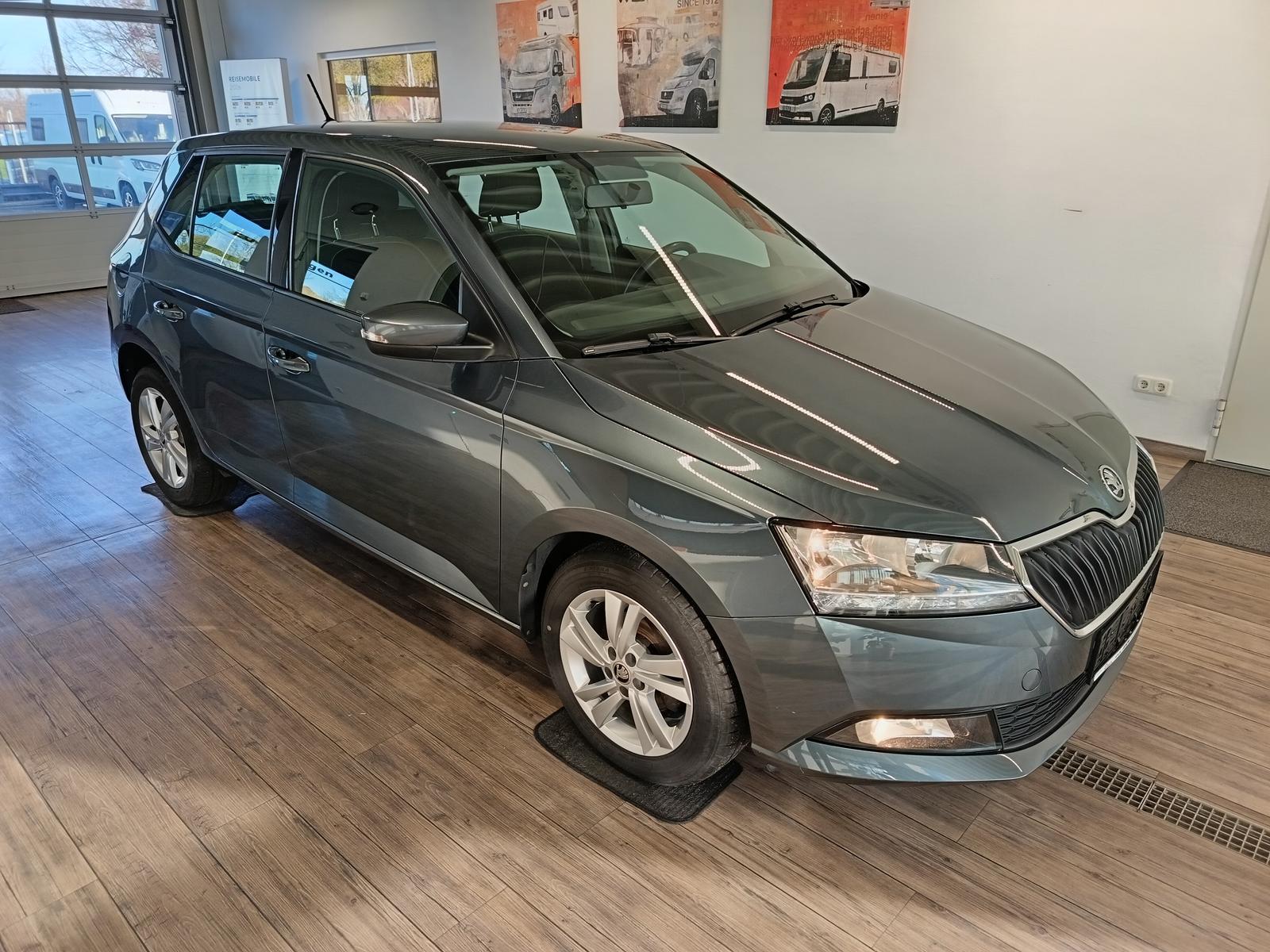 Skoda Fabia Ambition 1,0TSI+SHZ+PDC+DAB+R-KAM+SMARTLIN
