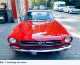 Ford Mustang Convertible 289 V8 1964/65 TÜV + Service - Ford Mustang: 65