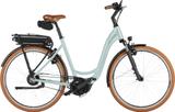 Riese & Müller Swing5 vario salvia 46 cm (28") - Riese & Müller E-Bikes