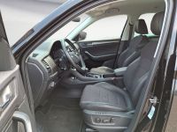 Skoda Kodiaq - Vorschau Bild 8