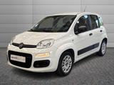 Fiat FIAT Panda 3ª serie - Panda 1.2 Pop - Fiat Panda: Pop