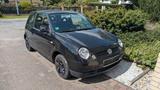Volkswagen Lupo 1.0 College College / 2. Hand - Volkswagen Lupo: College