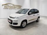 Fiat Panda Young *Org.60Tkm*KLIMA*NAVI*GARANTIE* - Fiat Panda: Young