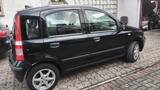 Fiat Panda - Fiat Panda Gebrauchtwagen in Krefeld