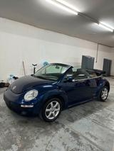 Volkswagen VW Beetle Cabriolet Freestyle - Volkswagen Beetle aus 2010: Cabrio