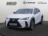 Lexus UX 300h F Sport Design SHZ NAVI LENKRADHEIZUNG - Lexus UX in Hamburg